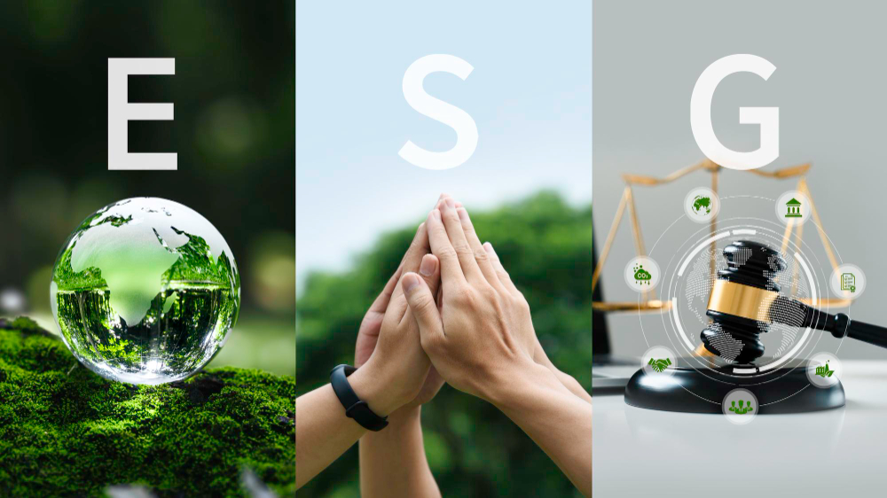 ESG Pillars and Metrics