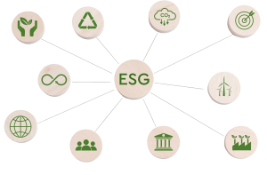 Custom ESG Taxonomies for Strategic Value Creation