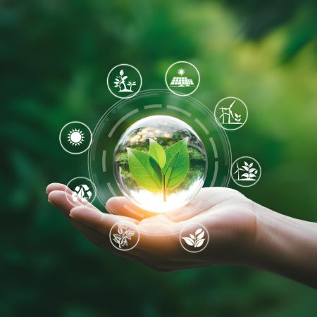 547 Sustainability Services by NeoImpact